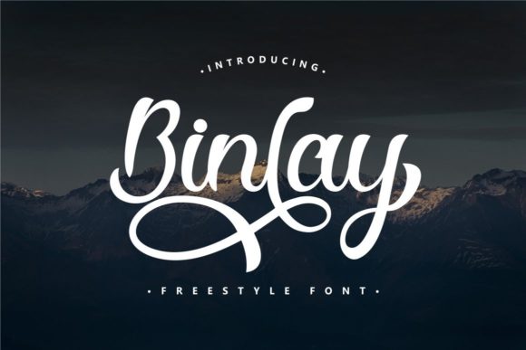Binlay Script Font: Elevate Campaign Visuals With Distinctive Typography