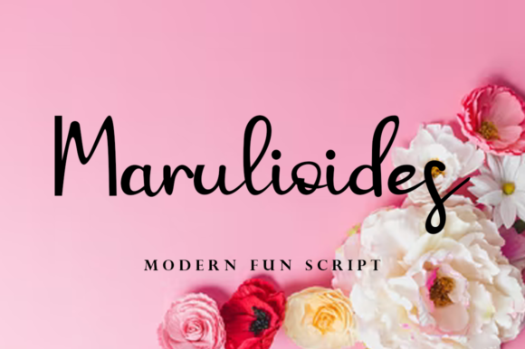 Marulioides Script Font Review for Campaign Design