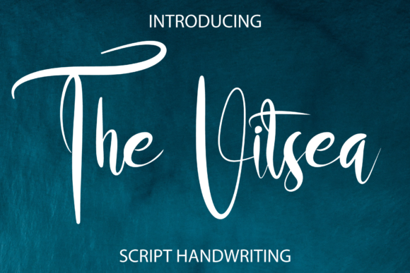 The Vitsea: A Designer’s Honest Review